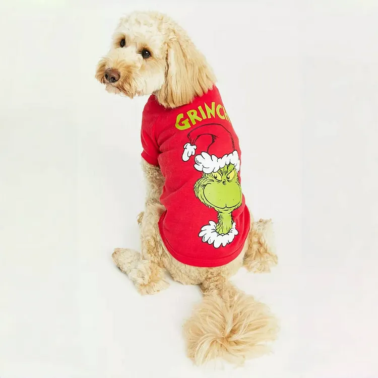 Dear Santa I can Explain! Grinch Christmas Print Family Pajama Set
