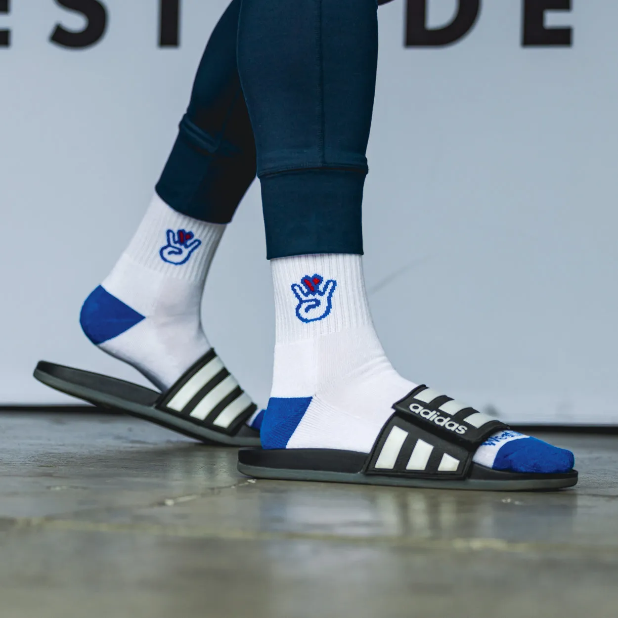 The Echo Park Sock