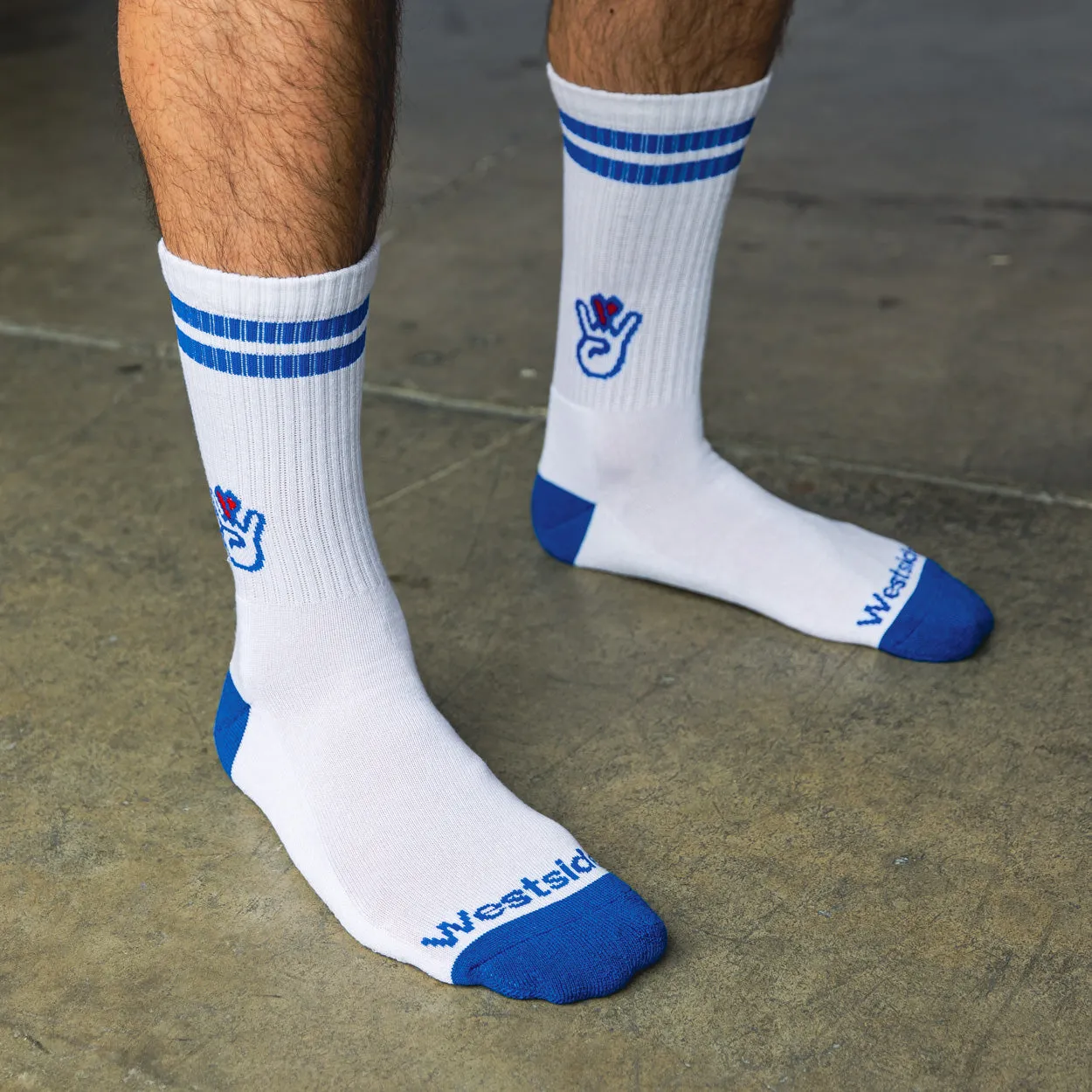 The Echo Park Sock